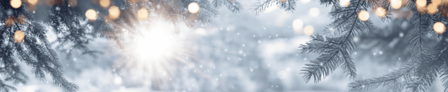 blog-2024-dec-header-20